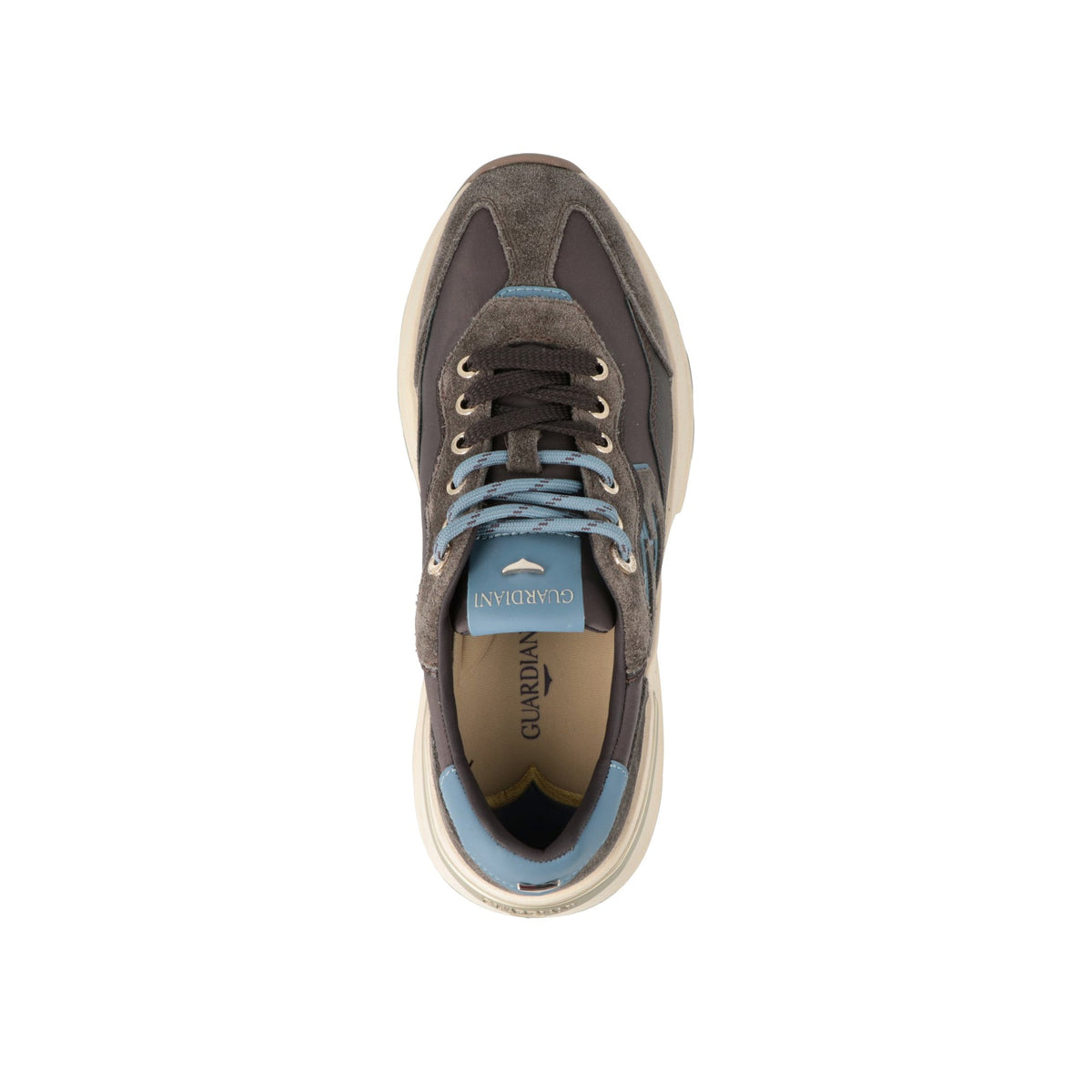 Levante Swallow-thumbmail-3