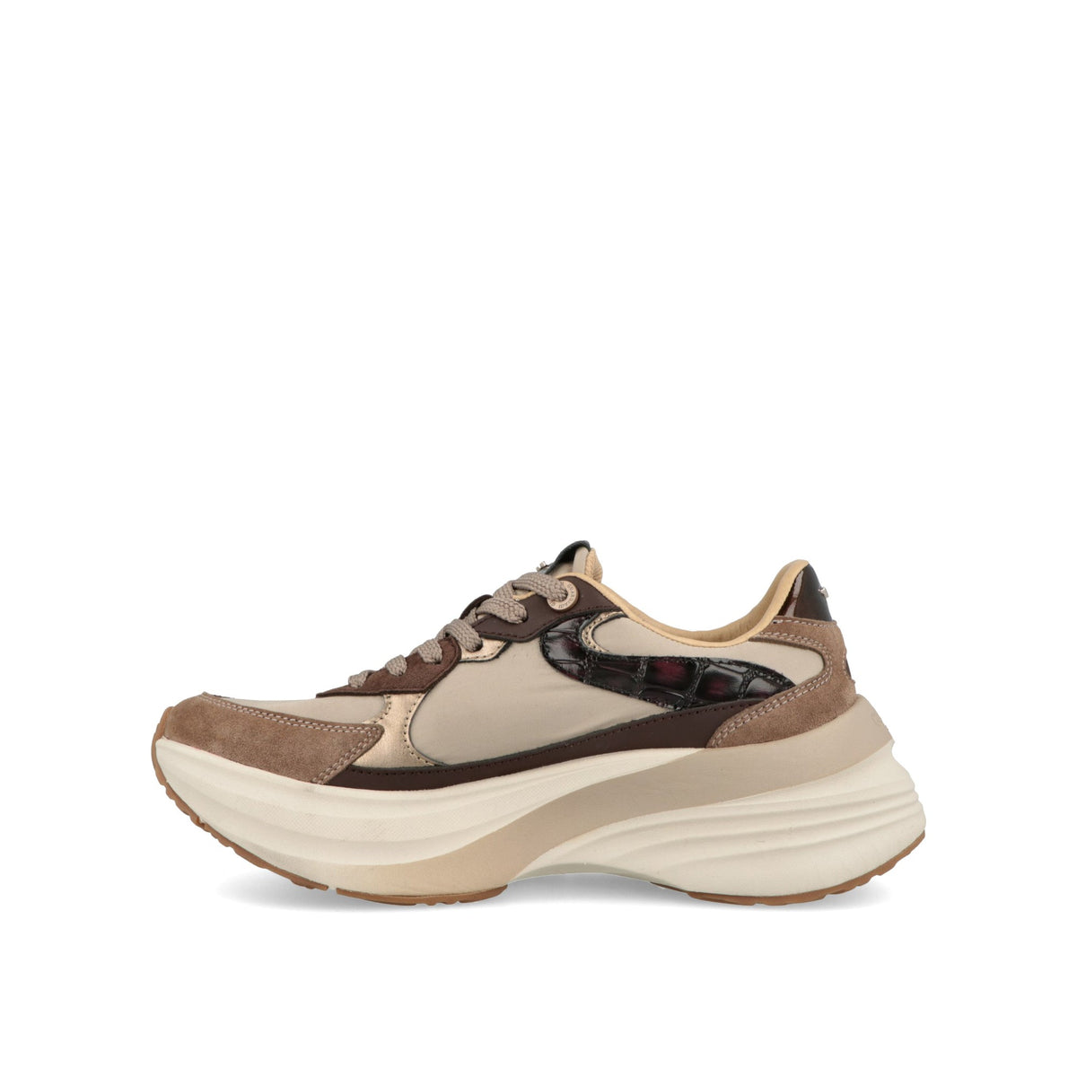 Astra Safari-thumbmail-5