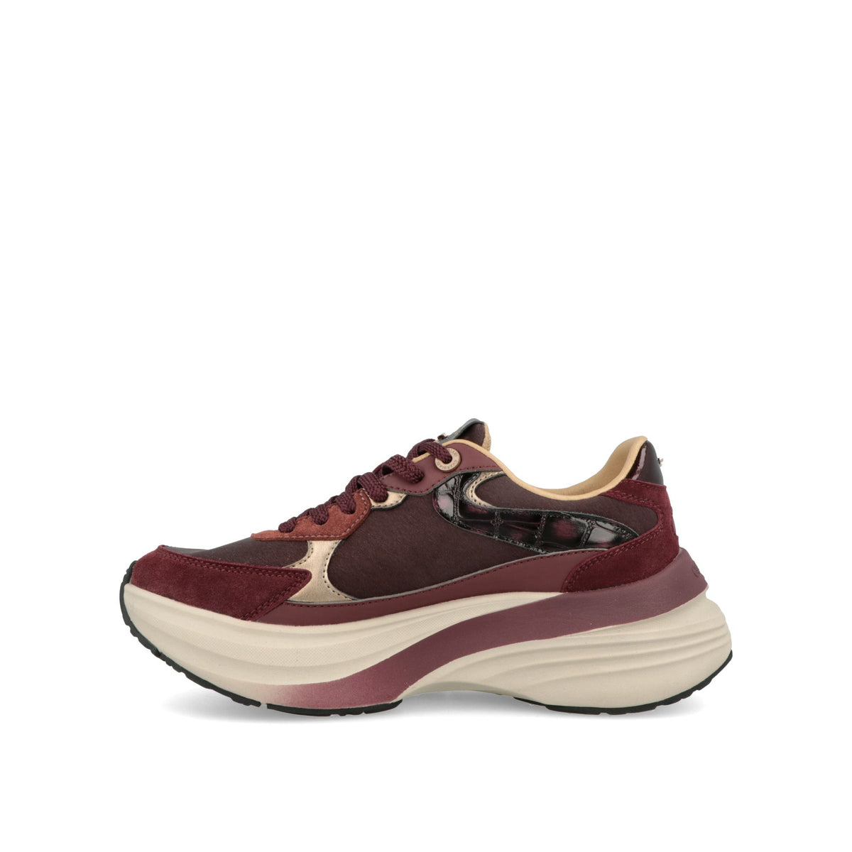 Astra Safari-thumbmail-5