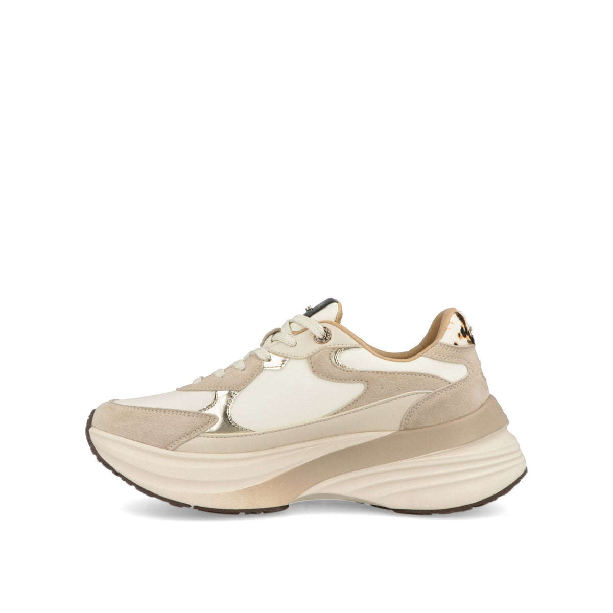 Astra Safari-thumbmail-5