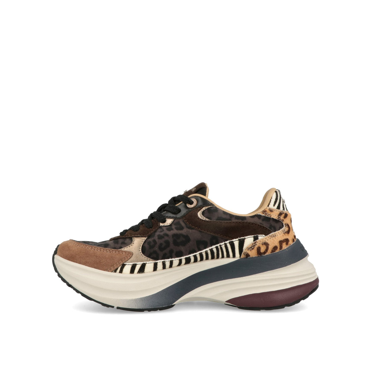 Astra Safari-thumbmail-5