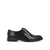 Zeno Oxford