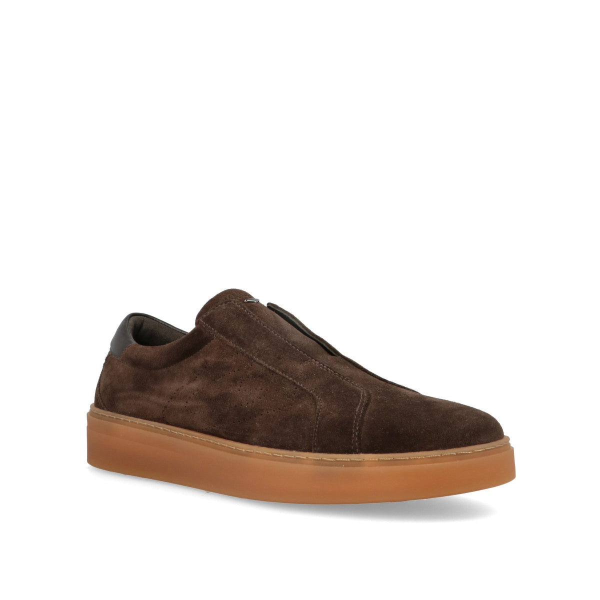 Lauro Elastic-thumbmail-2