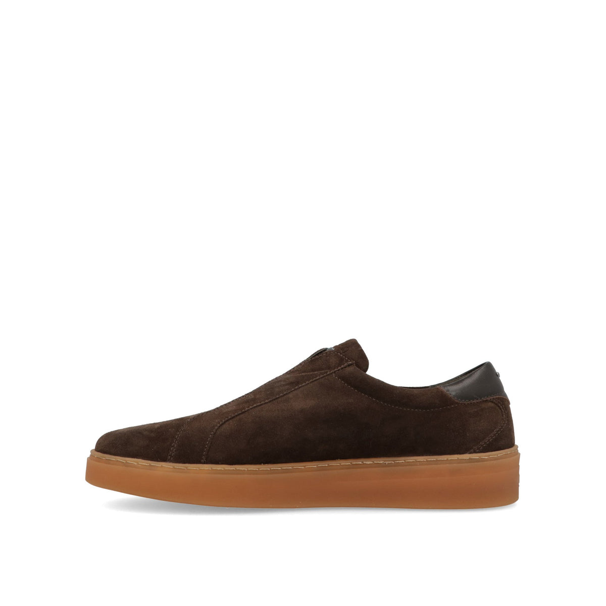 Lauro Elastic-thumbmail-5